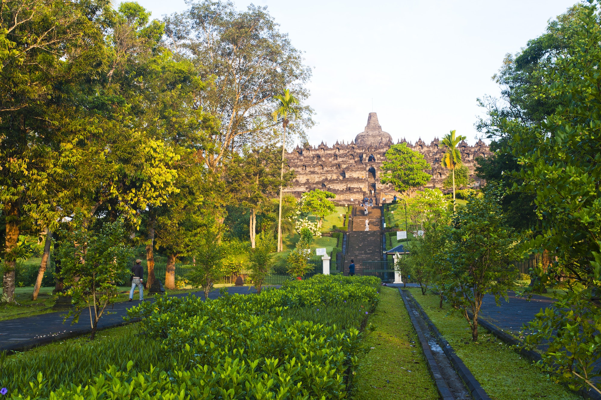 Dawn at Borobudur Temple, Yogyakarta, Java, Indonesia, Asia