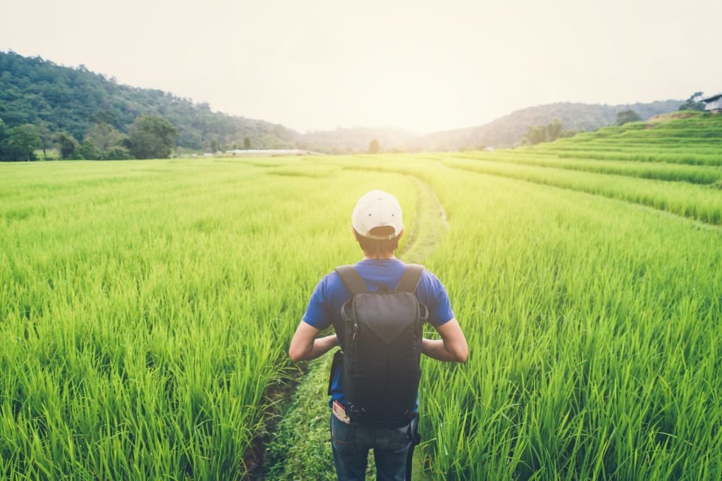 Man traveler looking at green rice terraces field in Chiangmai Thailand