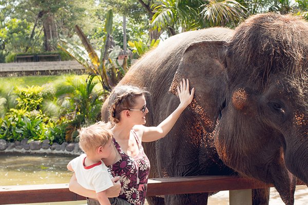 These 4 Southeast Asia Zoos Rule: Travel Bloggers Tell Us Why - Asean ...